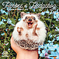 Willow Creek Press Monthly Mini Wall Calendar, 7" x 7", Herbee Hedgehog, January To December 2022 1 thumbnail image