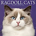 2026 Willow Creek Press Animals Monthly Wall Calendar, 12" x 12", Ragdoll Cats, January To December, 52549 1 thumbnail image