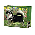 2025 Willow Creek Press Daily Box Calendar, 5-1/2” x 6-1/4”, Chihuahuas, January To December, 40737 1 thumbnail image