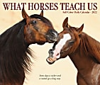 Willow Creek Press Page-A-Day Daily Desk Calendar, 5-1/2" x 6-1/4", What Horses Teach Us, January To December 2022