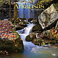 Brown Trout Monthly Regional Wall Calendar, 24" x 12", Wild & Scenic Arkansas, January to December 2022, 9781975438388 1 thumbnail image