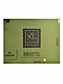 Canson® XL Bristol Pad, 19" x 24", 30% Recycled, Pad Of 25 Sheets