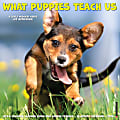 2026 Willow Creek Press Animals Monthly Wall Calendar, 12" x 12", What Puppies Teach Us, January To December, 53225 1 thumbnail image