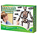 Learning Resources® 3-D Skeleton Demonstration Magnets, 36"', Grades 1-8