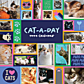 2024 TF Publishing Animal Wall Calendars, 12” x 12”, Cat-A-Day, January To December