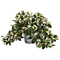 Nearly Natural Hoya 16”H Artificial Plant With Vintage Hanging Planter, 16”H x 23”W x 23”D, Green/Gray