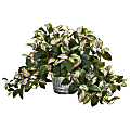Nearly Natural Hoya 16”H Artificial Plant With Vintage Hanging Planter, 16”H x 23”W x 23”D, Green/Gray 1 thumbnail image