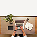 Floortex® Desktex® Anti-Microbial Vinyl Rectangular Place Mats , 12" x 18", Fresh Mist, Pack of 4 1 thumbnail image