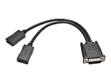 Eaton Tripp Lite Series 1ft DMS-59 to Dual DisplayPort Splitter Y Cable M/Fx2 1' - Video adapter - DisplayPort (F) to DMS-59 (M) - 1 ft - molded - black 1 thumbnail image