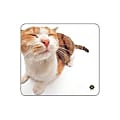 Allsop Pet Me Cat Mouse Pad 1 thumbnail image