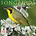 Willow Creek Press Animals Monthly Wall Calendar, Songbirds, 12" x 12", January To December 2021