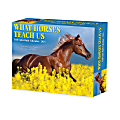 2025 Willow Creek Press Daily Desk Box Calendar, 5-1/2” x 6-1/4", What Horses Teach Us, January to December 2025, 41123