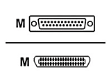 Lexmark - Parallel cable - DB-25 (M) to 36 pin Centronics (M) - 10 ft - for Lexmark CX522, CX622, CX625, M3350, MS531, MS631, MS632, MX532, MX722, XC4240, XM3250