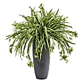 Nearly Natural Spider 33”H Artificial Plant With Cylinder Planter, 33”H x 30”W x 30”D, Green