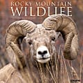 2024 Willow Creek Press Scenic Monthly Wall Calendar, 12" x 12", Rocky Mountain Wildlife, January To December