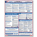 ComplyRight™ Federal Applicant Area Poster, Spanish, 16" x 20" 1 thumbnail image