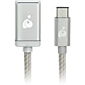 IOGear® Charge And Sync USB-C To USB-A Adapter, Silver, 4", 1N1347