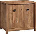 Sauder® Cannery Bridge Utility Cabinet With 2 Doors, 29-3/4”H x 31-3/4”W x 22”D, Sindoori Mango® 1 thumbnail image