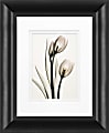 Timeless Frames Marren Framed Floral Artwork, 8" x 10", Black, Pink Tulips 1 thumbnail image