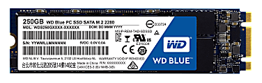 Western Digital® Blue™ M.2 2280 Internal Solid State Drive For Laptops/Desktops, 250GB, SATA III, WDS250G1B0B