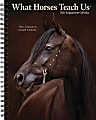2025 Willow Creek Press Weekly Engagement Planner, 6-1/2" x 8-1/2", What Horses Teach Us, January 2025 to December 2025, 46203 1 thumbnail image