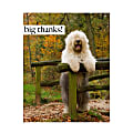 Retrospect Thank You Note Cards With Envelopes, 4 1/2" x 5 7/8", Old English Sheepdog, Box Of 10
