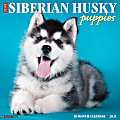 Willow Creek Press Animals Monthly Wall Calendar, Siberian Husky Puppies, 12" x 12", January To December 2021 1 thumbnail image