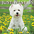 2024 Willow Creek Press Animals Monthly Wall Calendar, 12" x 12", Just Westies, January To December