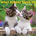 2025 Willow Creek Press Wall Calendar, 12” x 12”, What Kittens Teach Us, January 2025 To December 2025, 45398 1 thumbnail image