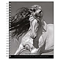 2023-2024 BrownTrout 16-Month Weekly/Monthly Engagement Planner, 7-3/4" x 7-3/16", The BrownTrout Portrait Series: The Noble Horse, September To December