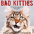 2024 Willow Creek Press Humor & Comics Monthly Wall Calendar, 12" x 12", Bad Kitties, January To December