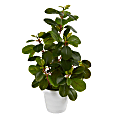 Nearly Natural Peperomia 16”H Artificial Plant With Decorative Planter, 16”H x 6”W x 6”D, Green/White