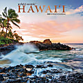 2025 BrownTrout Hawaii Wild & Scenic Monthly Plastic-Free Square Wall Calendar, 12" x 12", American States, January to December 2025, 9781975474904 1 thumbnail image