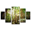 Trademark Global Muir Woods Multi-Panel Gallery-Wrapped Canvas Print By Ariane Moshayedi, 39 5/8"H x 57 5/8"W