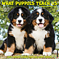 2025 Willow Creek Press Wall Calendar, 12” x 12”, What Puppies Teach Us, January 2025 To December 2025, 45411 1 thumbnail image