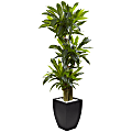 Nearly Natural 5-1/2'H Polyethylene Cornstalk Dracaena Plant With Clay Planter, Black Wash/Green