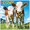 2026 Willow Creek Press Animals Monthly Wall Calendar, 12" x 12", Cows, January To December, 50903 1 thumbnail image
