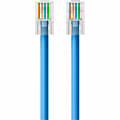 Belkin Cat. 6 UTP Patch Cable - RJ-45 Male - RJ-45 Male - 150ft - Blue