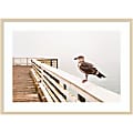 Amanti Art Sea Gull On Wharf by Alison Jones Wood Framed Wall Art Print, 41”W x 30”H, Natural