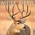 Willow Creek Press Animals Monthly Wall Calendar, Mule Deer, 12" x 12", January To December 2021 1 thumbnail image