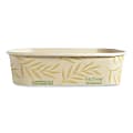 World Centric® NoTree™ Rectangular Takeout Containers, 16 Oz, Natural, Carton Of 300 Containers