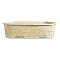 World Centric® NoTree™ Rectangular Takeout Containers, 16 Oz, Natural, Carton Of 300 Containers 1 thumbnail image