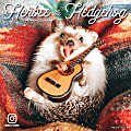 Willow Creek Press Animals Monthly Wall Calendar, Herbee The Hedgehog, 12" x 12", January To December 2021 1 thumbnail image