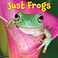 2024 Willow Creek Press Animals Monthly Wall Calendar, 12" x 12", Just Frogs, January To December