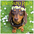 2026 Willow Creek Press Animals Monthly Wall Calendar, 12" x 12", Dachshund Rules, January To December, 50934 1 thumbnail image