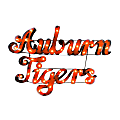 Imperial NCAA Lighted Metal Sign, Auburn University, IMP5463102 1 thumbnail image