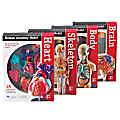 Learning Resources® Model Anatomy Bundle, Grades 3 - 12 1 thumbnail image