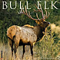2026 Willow Creek Press Animals Monthly Wall Calendar, 12" x 12", Bull Elk, January To December, 50408 1 thumbnail image