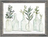 Timeless Frames® Alexis Frame Botanical Art, 16” x 12”, Bottles In Greenery I 1 thumbnail image