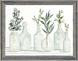 Timeless Frames® Alexis Frame Botanical Art, 16” x 12”, Bottles In Greenery I